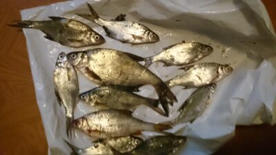 Silver Bream ×12 — Vėžaičių