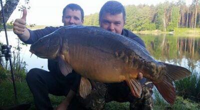 Carp, 8.2 kg — Ilgis