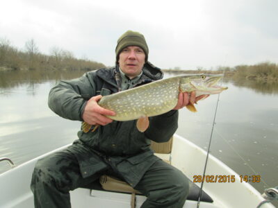 Northern Pike