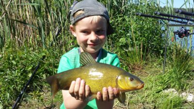 Tench, 0.7 kg — Ilgis