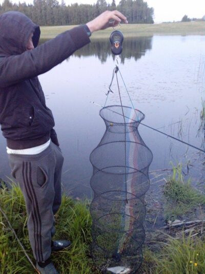 Carp bream, 0.1 kg — Glaudžių