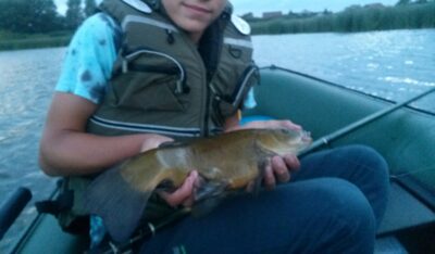Tench, 1.0 kg