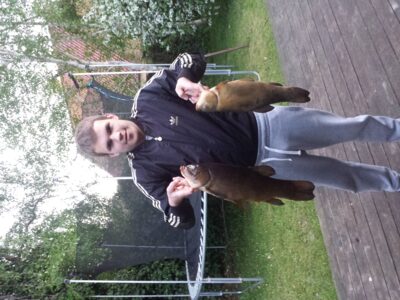Tench ×2 — Gentofte Sø