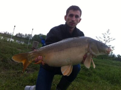 Carp, 8.5 kg