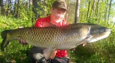 Grass carp, 12.0 kg — Ilgis