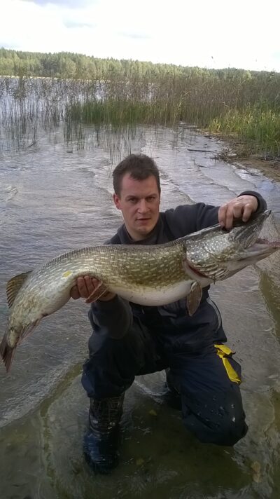 Northern Pike