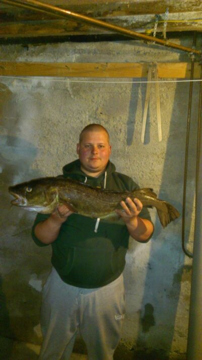 Atlantic cod — North Sea
