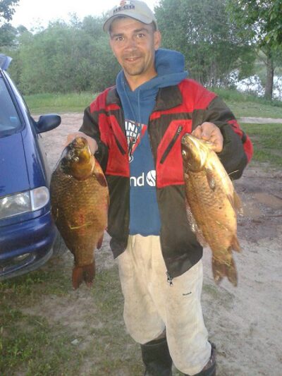 Crucian carp ×2