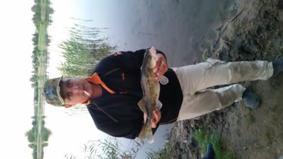 Pike perch, 1.0 kg — Krokialaukio