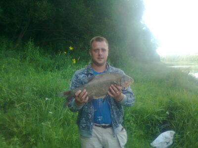Carp bream — Neman River