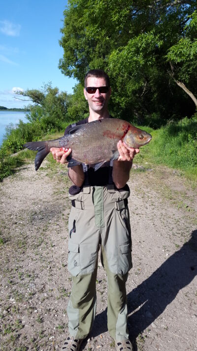 Carp bream, 4.0 kg