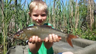 Roach, 0.7 kg — Ilgis