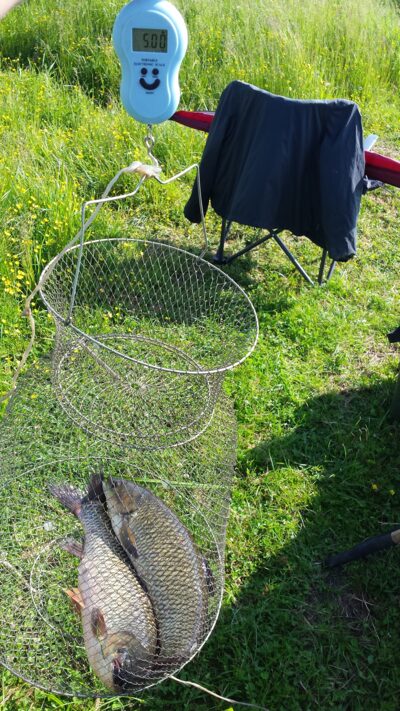 Grass carp ×2 — Šalčininkų II-asis