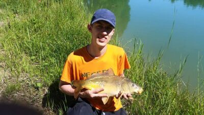Carp, 2.5 kg — Ekrano gamyklos
