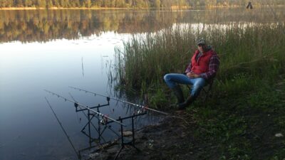 Prussian carp ×5 — Spenglas