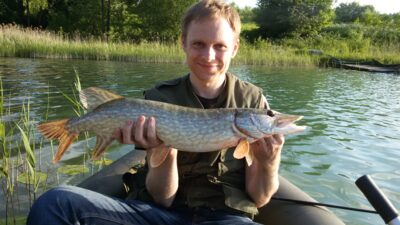 Northern Pike, 2.3 kg — Spindžius