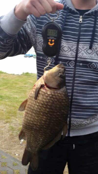 Prussian carp, 2.2 kg — Varėnos m. I-asis