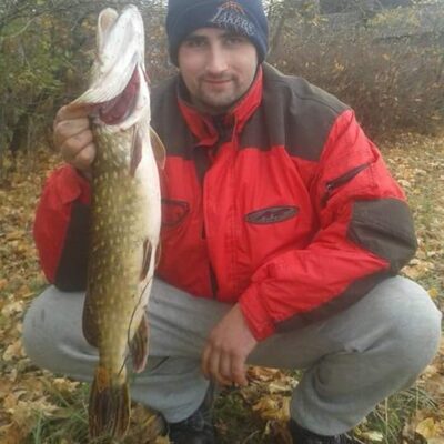 Northern Pike, 3.5 kg