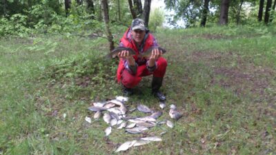 Prussian carp ×20 — Spenglas