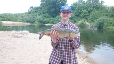chub, 2.6 kg — Minija