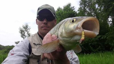 chub — Minija
