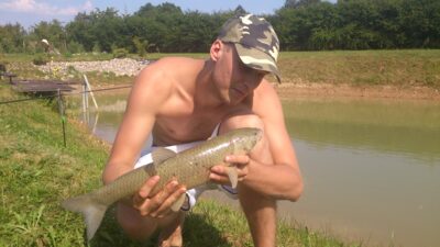 Grass carp