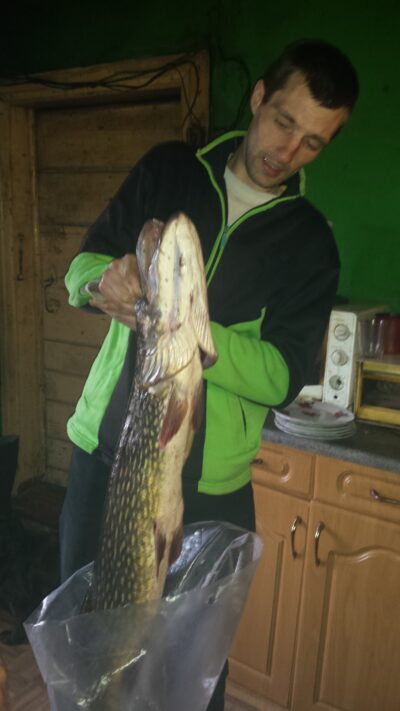 Northern Pike, 6.5 kg — Sartai