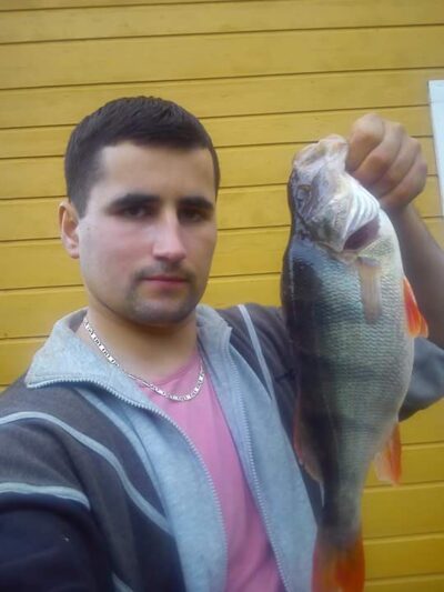Eurasian perch, 1.2 kg