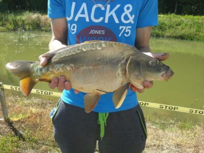 Carp