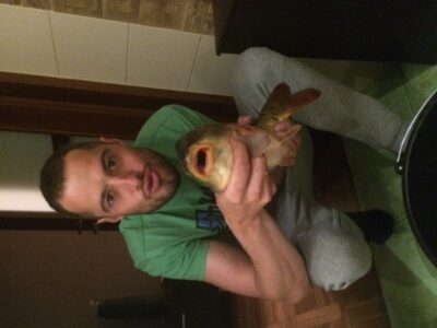Carp, 2.0 kg — Pajiesio