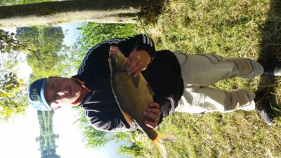 Carp bream, 2.0 kg — Krokialaukio