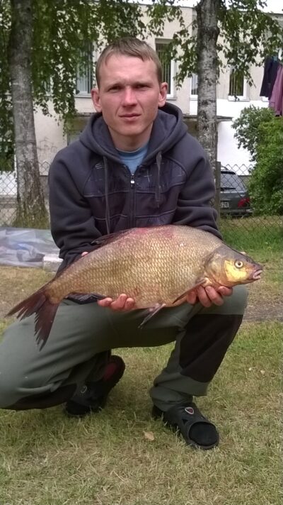 Carp bream, 2.6 kg — Didžiulis
