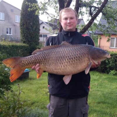 Carp, 16.0 kg