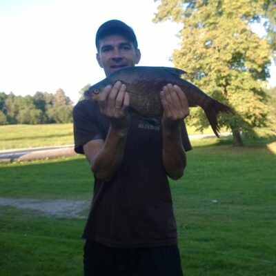 Carp bream, 2.1 kg