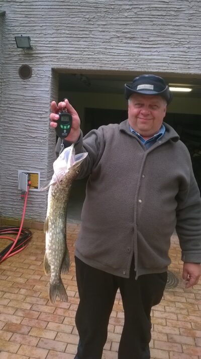 Northern Pike, 3.5 kg — Lakaja