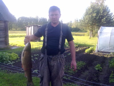 Grass carp, 4.0 kg