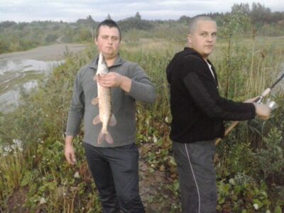 Northern Pike