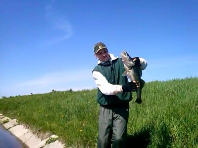 Pike perch, 2.4 kg — Pociūnų