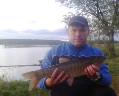Grass carp, 2.1 kg