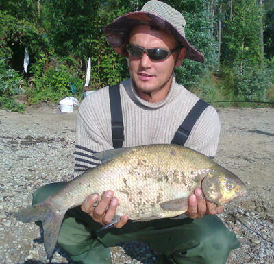 Carp bream, 2.8 kg