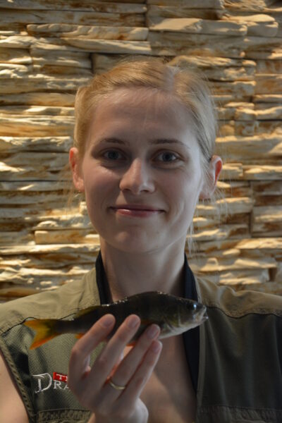 Eurasian perch, 0.1 kg — Kupiškio