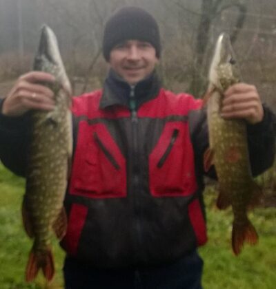 Northern Pike