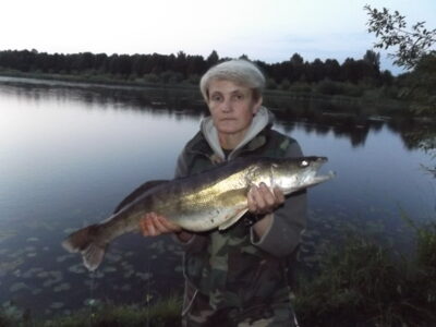 Pike perch, 4.2 kg — Aukštųjų Kaplių