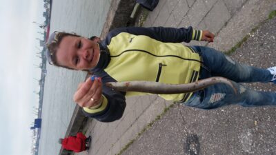 European eel — Kuršių