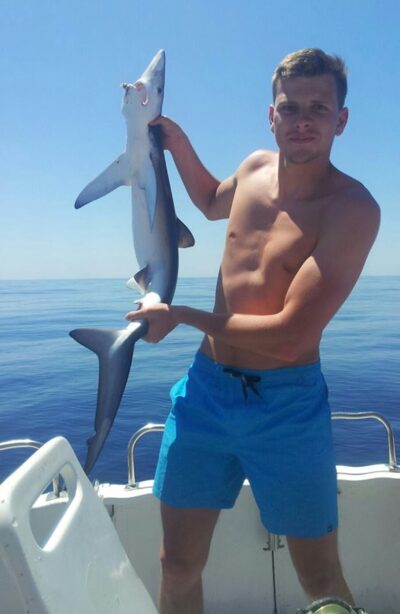 Blue shark — NORTH ATLANTIC OCEAN