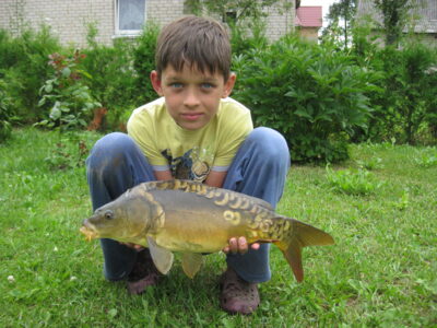 Carp, 2.1 kg