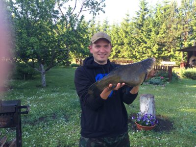 Tench, 2.7 kg — Platelių