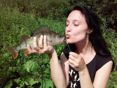 Eurasian perch, 0.8 kg — Pakalnė