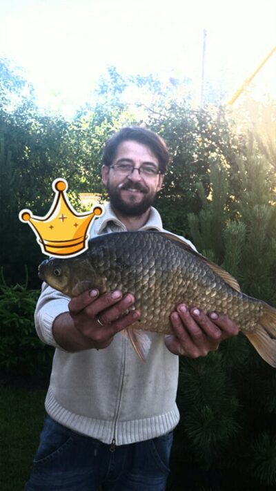 Crucian carp, 2.2 kg