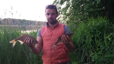 Carp bream, 0.7 kg — Riešė